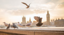 Dünya Şefleri Londra’da Bir Araya Geldi