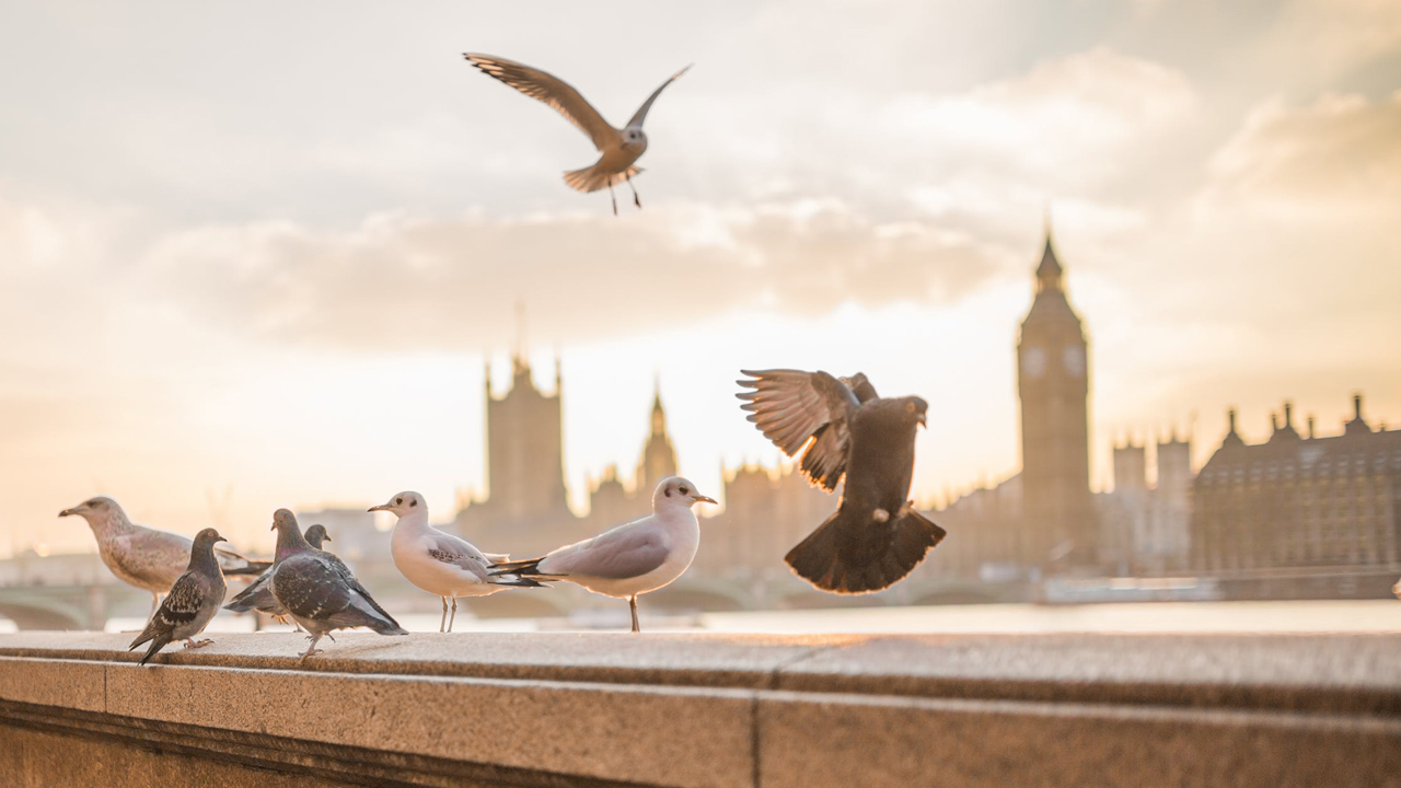 Dünya Şefleri Londra’da Bir Araya Geldi